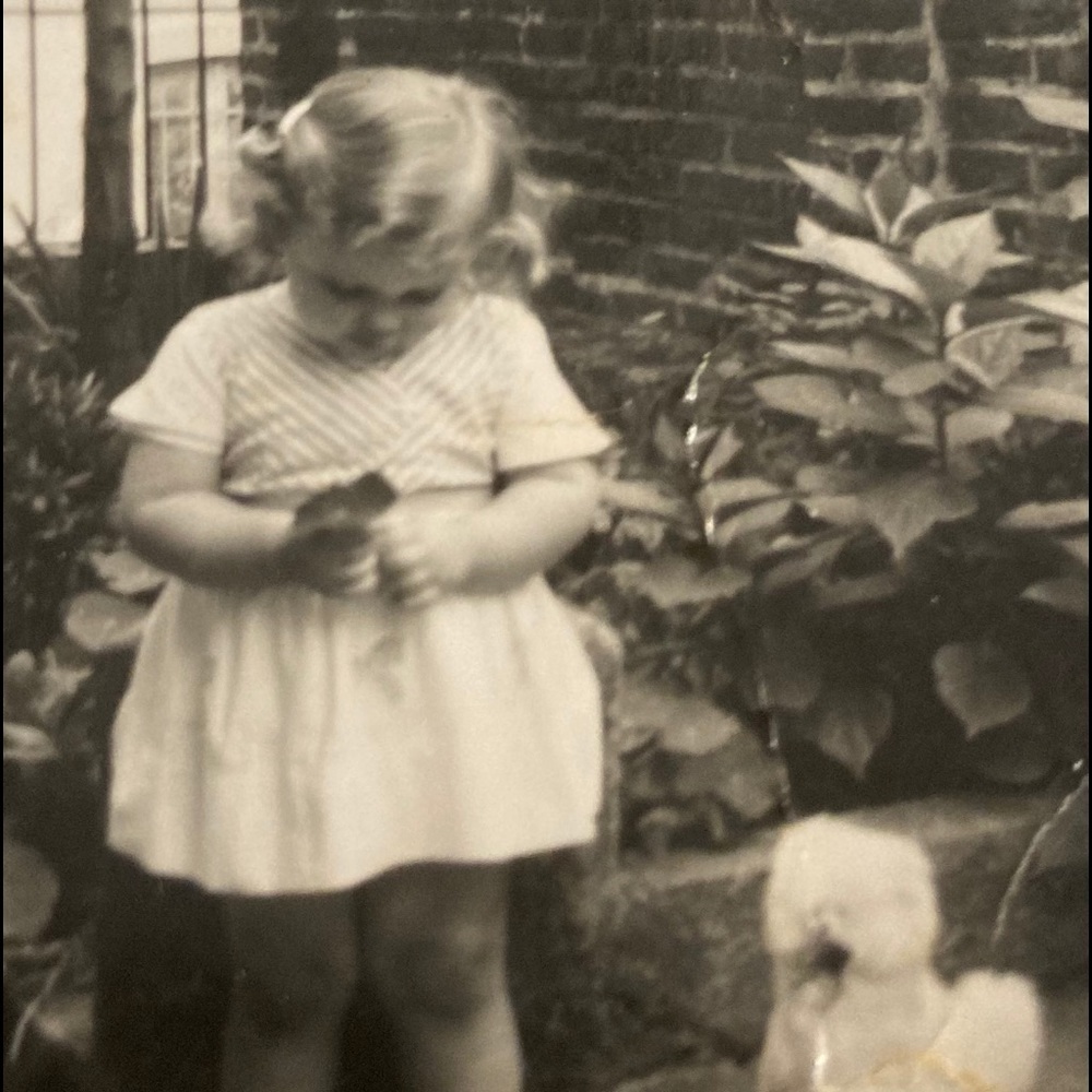 Meet your Posher, Heidi